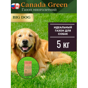 Газонная трава семена  Canada GREEN "Big Dog"-