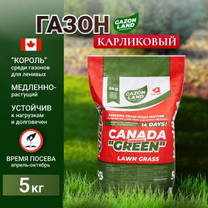 Газонная трава низкорослый Canada Green Premium Gold (Карлик)