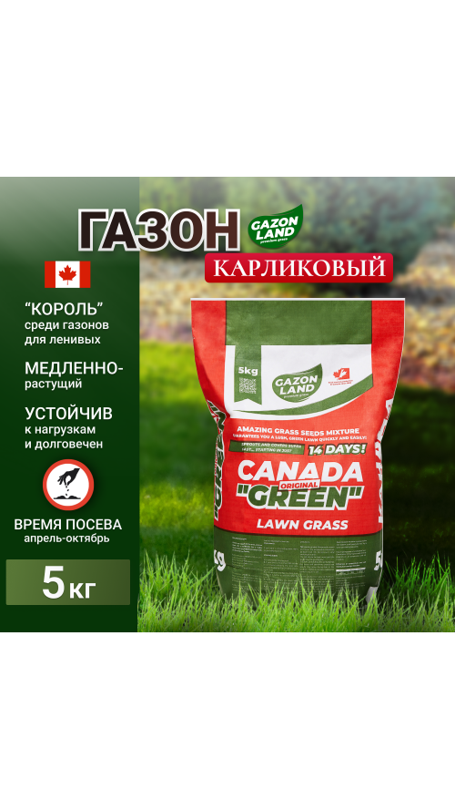 Газонная трава семена Canada Green Premium Gold "Карлик"